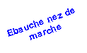 Zone de Texte: Ebauche nez de marche