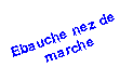 Zone de Texte: Ebauche nez de marche